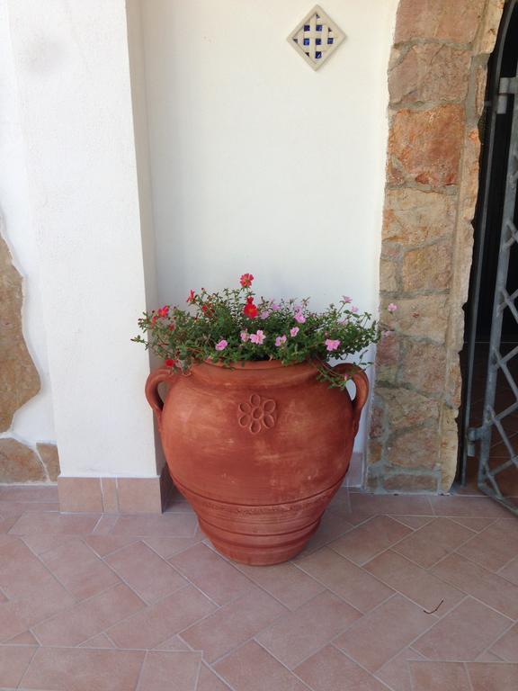 Bed and Breakfast Casale Degli Angeli Vieste Exterior foto
